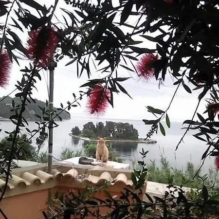 Panorama Lejlighed